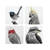Maxwell And Williams Marini Ferlazzo Birds Of Australia Cork Back Coaster 10.5cm Set Of 4 Assorted Gift Boxed