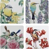 Maxwell And Williams Royal Botanic Gardens - Garden Friends Cork Back Coaster 10.5cm Set Of 4 Assorted Gift Boxed